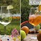 Hugo Spritz, Aperol Spritz : Rezepte und Zutaten dafür im Cocktail Box dabei.